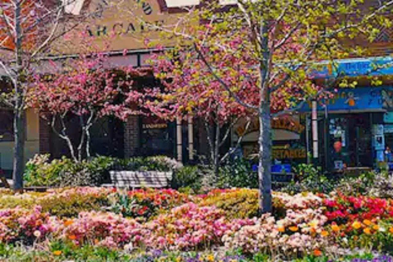 Rose Pine Cottage At Leura Buitenkant foto